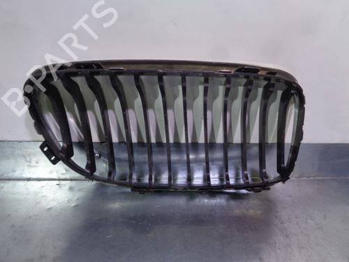 Grille BMW 3 (E90) 320 d | BP13737969C40 