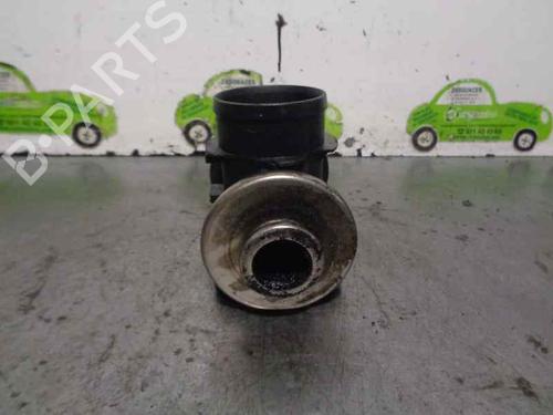 Egr BMW 3 (E46)  | BP4871391M69 