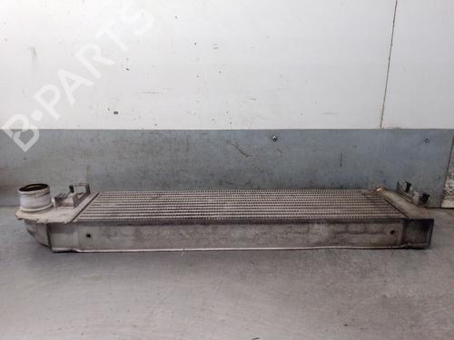 Intercooler RENAULT GRAND SCÉNIC II (JM0/1_) 2.0 dCi (JM1K) | BP31171709M30