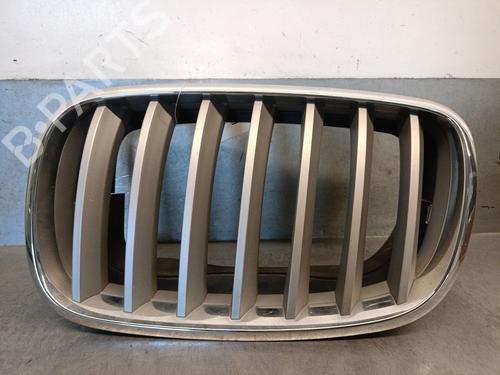 Used Grille Grille BMW X6 (E71, E72) xDrive 35 d (286 hp) 34125926 34125926