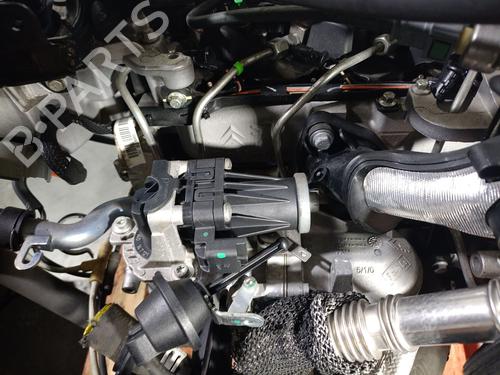 Engine FORD C-MAX II (DXA/CB7, DXA/CEU) 1.6 TDCi | BP37667567M1 - Image 10