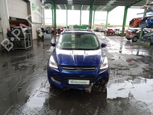 Right front door FORD KUGA II (DM2) 2.0 TDCi | BP32306366C3