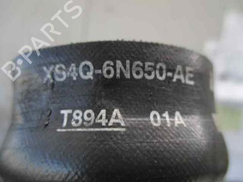 Pipe FORD FOCUS I Saloon (DFW)  | BP20251072M125 