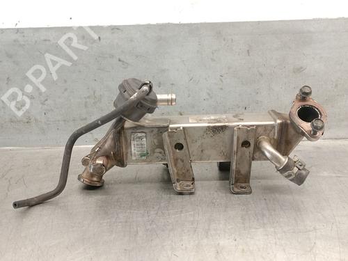 Egr NISSAN QASHQAI I (J10, NJ10) 2.0 dCi (150 hp) 28704497