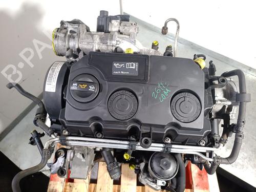 Engine SEAT IBIZA IV (6J5, 6P1) 1.9 TDI | BP37588869M1 - Image 6