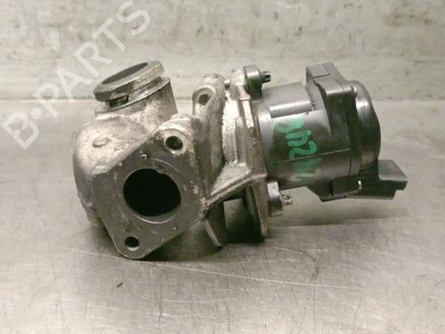 Egr PEUGEOT PARTNER Box Body/MPV (5_, G_) 1.6 HDi 75 | BP31052430M69