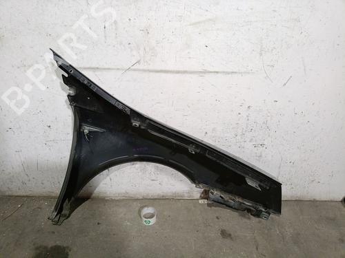 Left front fenders RENAULT VEL SATIS (BJ0_) 2.2 dCi (BJ0E, BJ0F) | BP25236370C41 