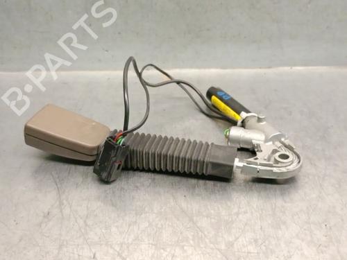 Front right belt tensioner JAGUAR S-TYPE II (X200) 2.7 D | BP27165624C88 