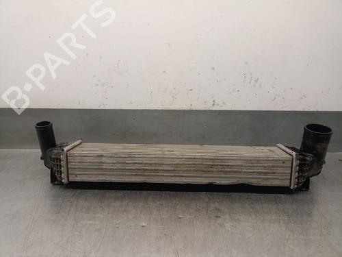 Intercooler MG MG HS (AS23) 1.5 T (SAS23) | BP29807024M30 