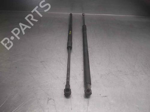 Tailgate lift support NISSAN NOTE (E11, NE11)  | BP21020922C138 