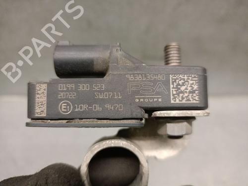 Cable DS DS 7 Crossback (J4_, JR_, JC_) E-TENSE 225 (J4DGZU) | BP31915621E12 