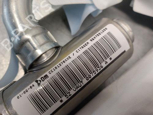 Electronic module CITROËN C3 I (FC_, FN_) 1.4 16V HDi | BP26605815M83 