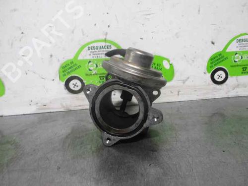 Used Egr SEAT IBIZA III (6L1) 1.4 TDI (80 hp) 2542325
