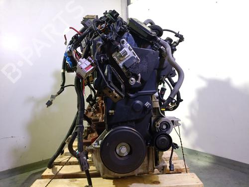 Motor RENAULT EXPRESS Box Body/MPV 1.5 Blue dCi 75 (F6AA) (75 hp) 29460621
