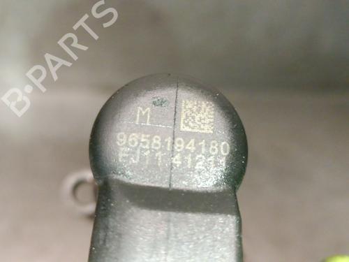 Injector CITROËN C4 Grand Picasso I (UA_) 2.0 HDi 138 | BP30686778M100