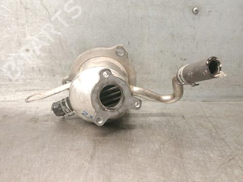 EGR-Ventil RENAULT EXPRESS Box Body/MPV 1.5 Blue dCi 75 (F6AA) | BP29463882M69 