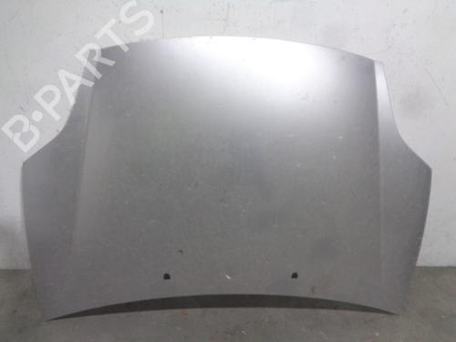 Used Hood FIAT BRAVO II (198_) 1.9 D Multijet (198AXB1A) (120 hp) 14929316