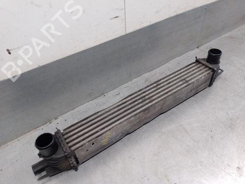 Intercooler PEUGEOT BIPPER (AA_) 1.4 HDi | BP30078669M30