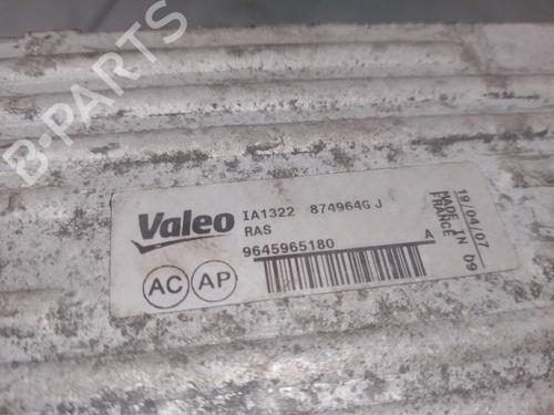 Intercooler CITROËN XSARA PICASSO (N68) 1.6 HDi | BP29325746M30 