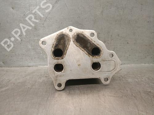 Oil radiator FORD TRANSIT CONNECT V408 Box Body/MPV 1.6 TDCi | BP28095973M33 
