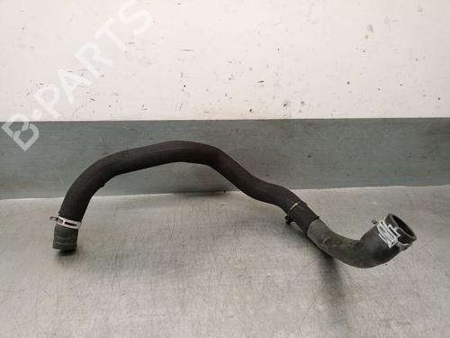 Used Pipe RENAULT CLIO V (B7_) 1.6 E-TECH 140 (B7MU) (140 hp) 29288382