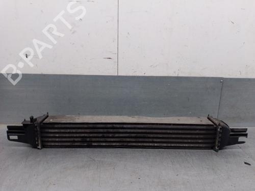 Intercooler PEUGEOT BIPPER (AA_) 1.4 HDi | BP30078669M30