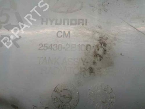 Expansion tank HYUNDAI SANTA FÉ II (CM) 2.2 CRDi | BP7304854C120 