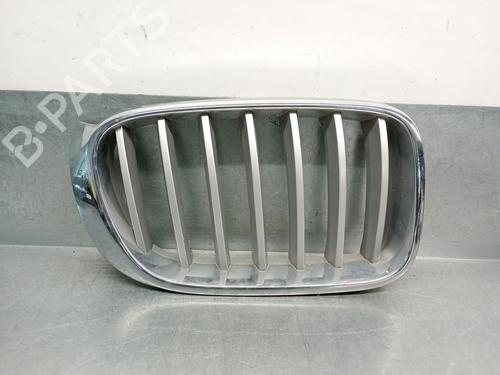 Used Grille BMW X4 (F26) xDrive 35 d (313 hp) 30083773
