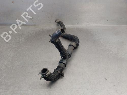 Pipe DACIA LOGAN II 1.5 Blue dCi 95 (L8JL) | BP32492557M125