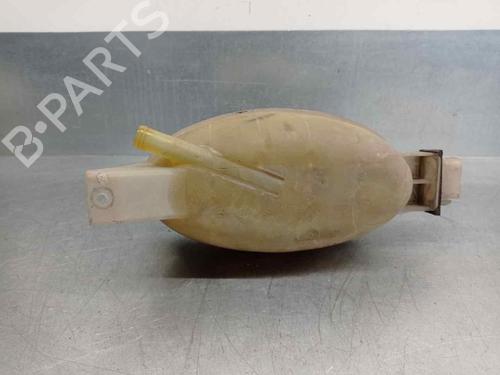 Expansion tank NISSAN PRIMASTAR Van (X83) 1.9 dCi 80 | BP11938527C120 