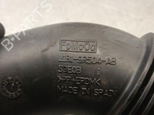 Pipe FORD PUMA (J2K, CF7) 1.0 EcoBoost | BP29617664M125 