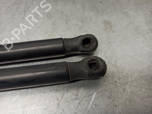 Tailgate lift support FORD FOCUS C-MAX (DM2) 1.6 | BP17896431C138 
