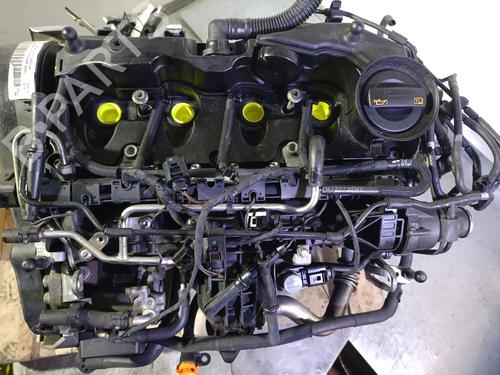 Engine SEAT IBIZA IV (6J5, 6P1) 1.6 TDI | BP26493275M1 