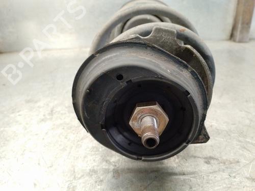 Right front shock absorber FIAT PUNTO (188_) 1.9 DS 60 (188.031, .051, .231, .251) | BP13736265M17 