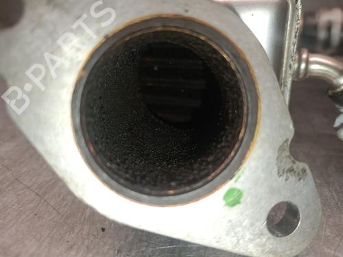 Egr FORD KUGA III (DFK) 2.5 FHEV | BP24917212M69