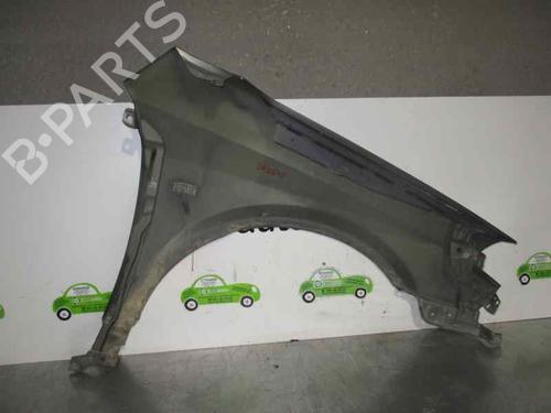 Left front fenders NISSAN PRIMERA Hatchback (P12) 1.9 dCi | BP2081332C41 