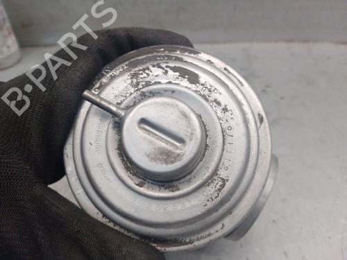 Egr LAND ROVER FREELANDER I (L314) 2.0 Td4 4x4 | BP24154667M69 