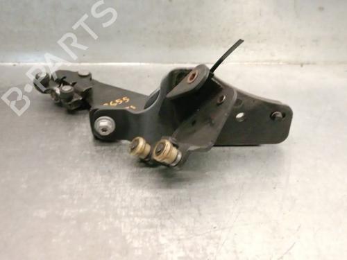 Hinge/Door check strap RENAULT KANGOO / GRAND KANGOO II (KW0/1_) 1.5 dCi 110 (KW06, KW12) | BP25792508C146 