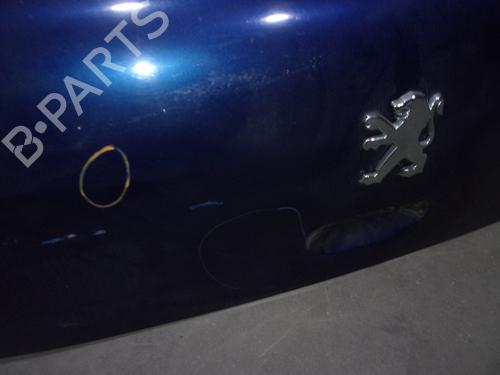 Tailgate PEUGEOT 307 (3A/C) 1.6 16V | BP16780340C6 
