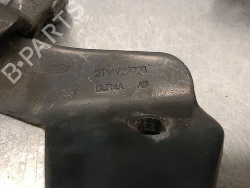 Hinge/Door check strap FORD TRANSIT CONNECT (P65_, P70_, P80_) 1.8 TDCi | BP28018130C146 