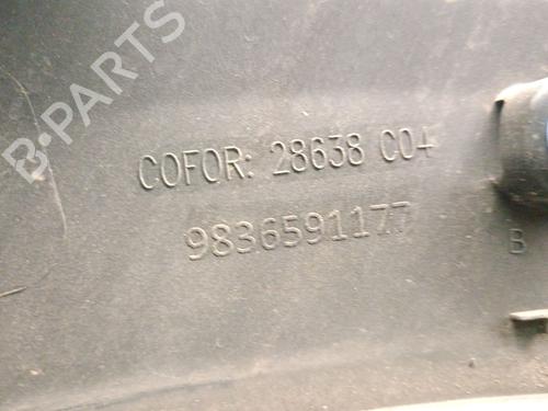 Modanatura parafango posteriore destra PEUGEOT 3008 II SUV (MC_, MR_, MJ_, M4_) 1.2 THP/ PureTech 130 (MRHNSM, MRHNSU, MRHNSJ, MRHNYW,... | BP30711054C137