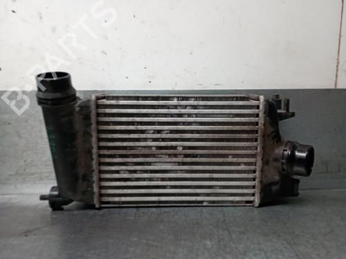 Used Intercooler NISSAN MICRA V (K14) 0.9 IG-T (90 hp) 30393439