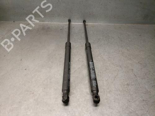 Tailgate lift support RENAULT ARKANA I (LCM_, LDN_) 1.3 TCe 140 (LDN0) | BP32267120C138