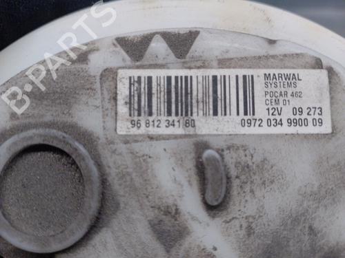 Fuel pump PEUGEOT 308 I (4A_, 4C_) 1.6 16V | BP14966724M76 
