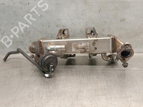 Egr NISSAN QASHQAI I (J10, NJ10) 2.0 dCi | BP28704497M69 