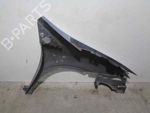 Left front fenders LANCIA PHEDRA (179_) 2.2 JTD (179AXC1A) | BP6978186C41 