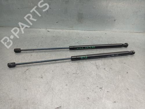 Tailgate lift support CITROËN C4 Coupe (LA_) 2.0 HDi | BP20260920C138 
