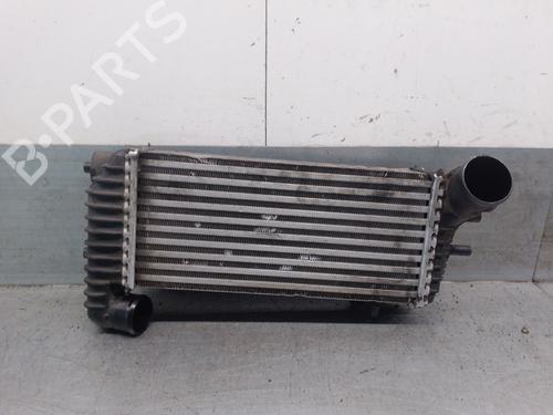 Intercooler FORD TRANSIT CONNECT V408 Box Body/MPV 1.6 TDCi (95 hp) 28134173