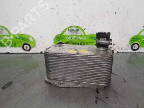 Oil radiator BMW 3 (E46)  | BP20252518M33 