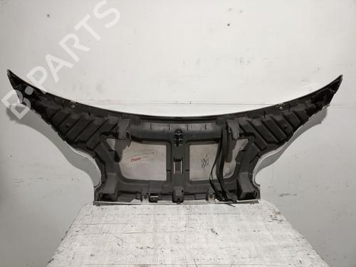 Hood SMART FORTWO Coupe (451) 1.0 (451.331, 451.380) | BP29619050C1 